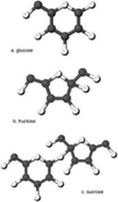 An image of sugars including glucose and fructose