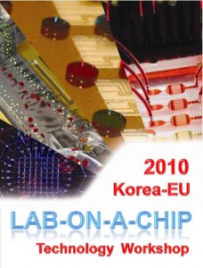 Microfluidic image for 2010 Lab on a Chip workshop
