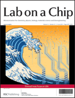 Lab on a Chip: Focus on the USA