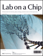 Lateral migration and focusing of colloidal particles and DNA molecules under viscoelastic flow