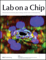 In vitro formation and characterization of a perfusable three-dimensional tubular capillary network in microfluidic devices