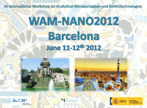 III International Workshop on Analytical Miniaturization and NANOtechnologies