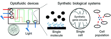 Optofluidics and synthetic biology