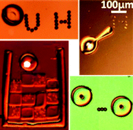 Optofluidic hydrogel microrobots