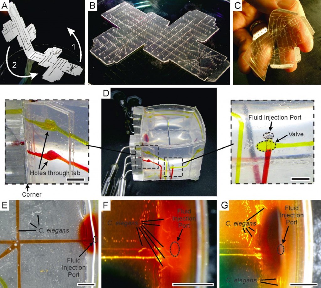 Microfluidic valves and pumps for all – Lab on a Chip Blog