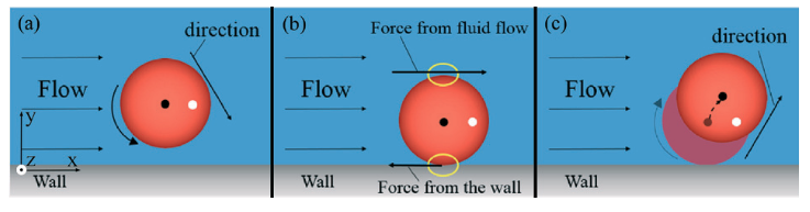 Cell pinballs in microfluidic channels – Lab on a Chip Blog