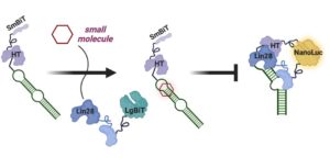 Graphical abstract for article: d4md00123k.
