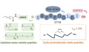 Graphical abstract for article: d4md00850b.