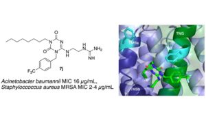 Graphical abstract for article: d4md00937a.
