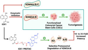 Graphical abstract for article: d4md00122b.