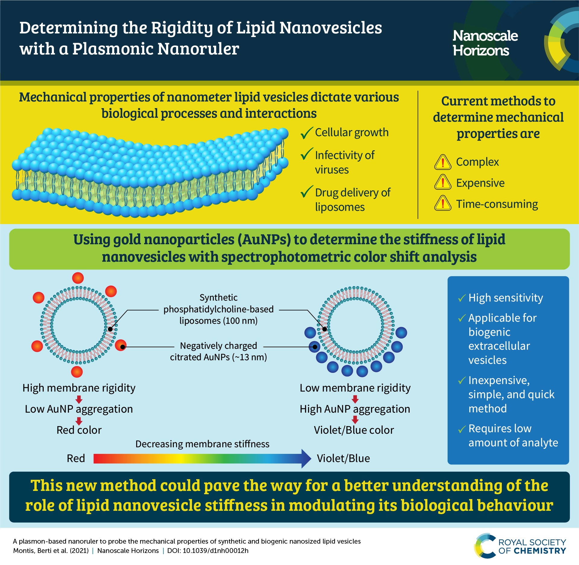 An infographic summarising the content of the article “A plasmon-based nanoruler to probe the mechanical properties of synthetic and biogenic nanosized lipid vesicles"
