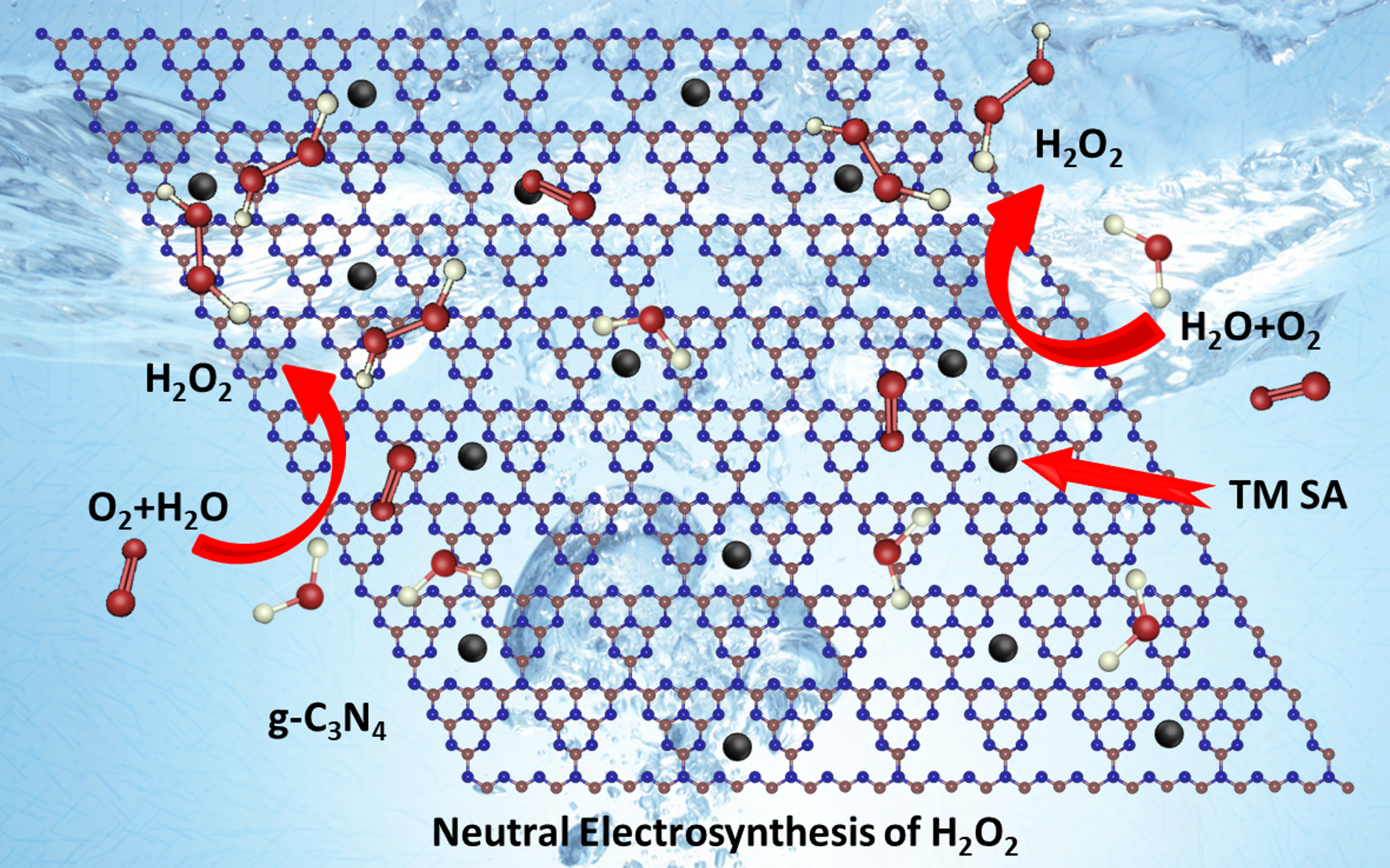 Scheme showing H2O2 production from H2O and O2 on a modified graphitic carbon nitride sheet.