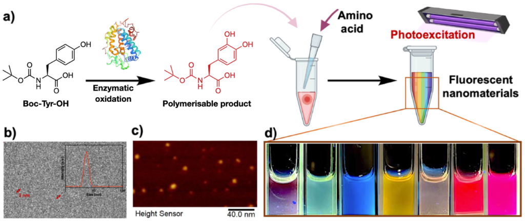 A figure taken from the original article depicting a nanoparticle preparation scheme