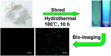 376px x 189px - Fluorescent carbon dots from office waste printer paper â€“ NJC Blog