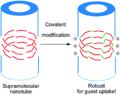 covalent modification
