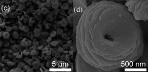 SEM images of the doughnut-like nanostructured composites