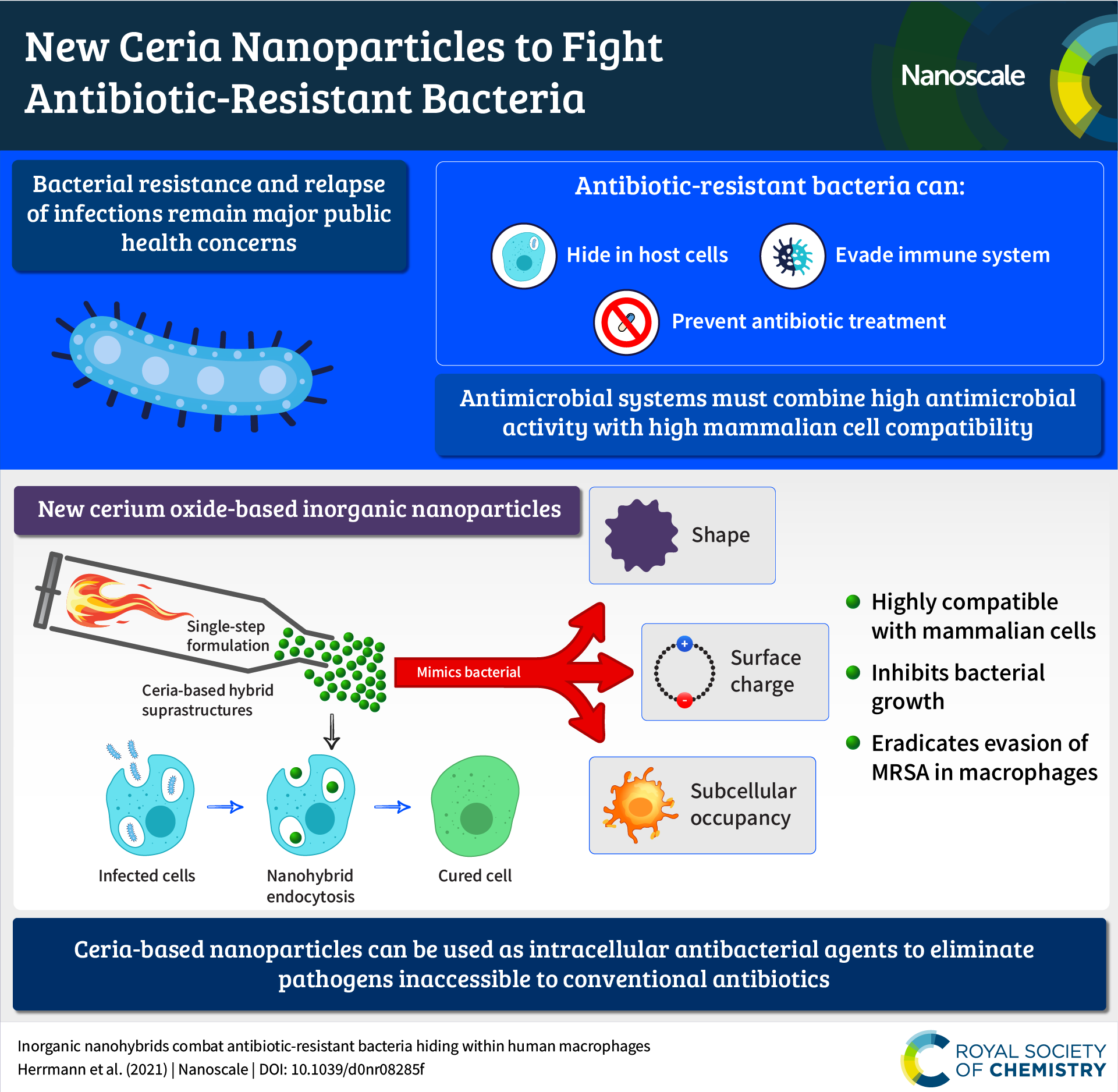An infographic summarising the content of the article “Inorganic nanohybrids combat antibiotic-resistant bacteria hiding within human macrophages"