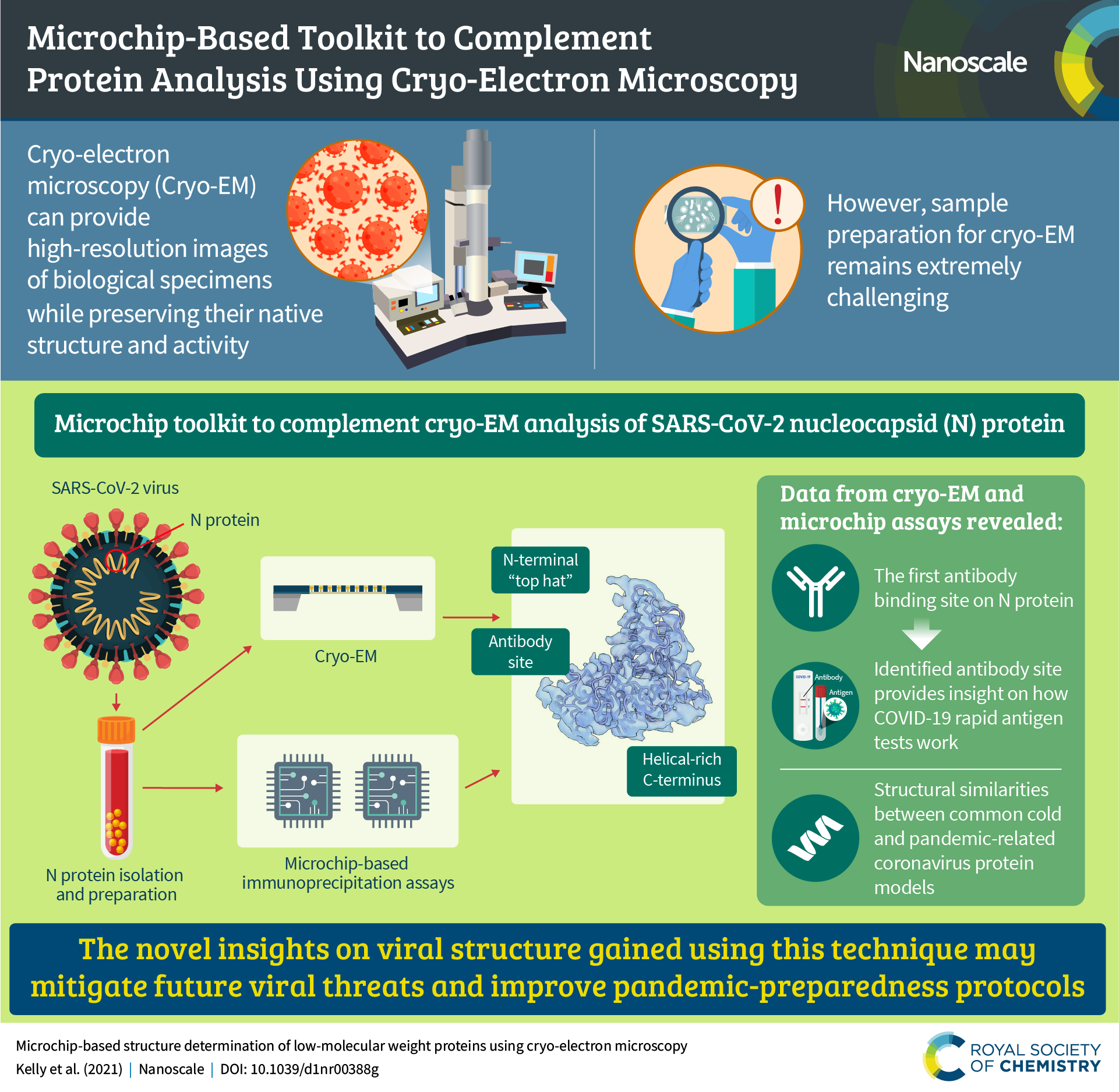 An infographic summarising the content of the article “Microchip-based structure determination of low-molecular weight proteins using cryo-electron microscopy"
