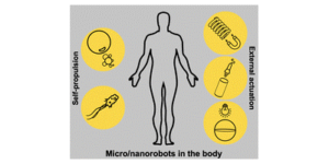 Graphical abstract for In vivo applications of micro/nanorobots.