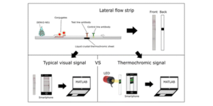 Graphical abstract for Development of a thermochromic lateral flow assay to improve sensitivity for dengue virus serotype 2 NS1 detection.