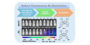 Graphical abstract image for Selection of an aggregation-caused quenching-based fluorescent tracer for imaging studies in nano drug delivery systems.