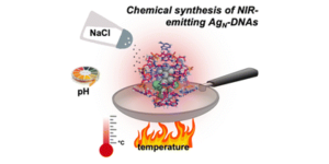 Graphical abstract image for Heat, pH, and salt: synthesis strategies to favor formation of near-infrared emissive DNA-stabilized silver nanoclusters.