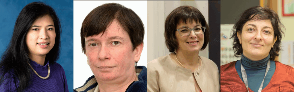 photo of guest editors from left, Professor Nguyen T. K. Thanh, Professor Sophie Laurent, Professor Sylvie Begin-Colin and Professor Teresa Pellegrino.
