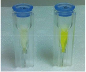 Fluorescent probe before (left) and after (right) addition of S. aureus