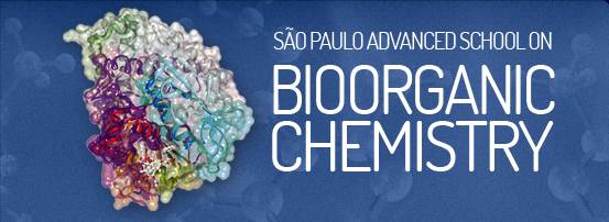 Sao Paulo Advanced School in Bioorganic Chemistry