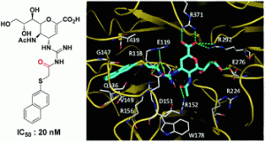 Synthesis of acylguanidine zanamivir derivatives as neuraminidase inhibitors and the evaluation of their bio-activities 