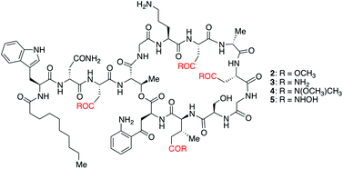 carboxylate-isostere analogs of daptomycin