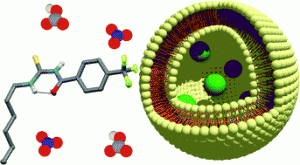 Acylthioureas as anion transporters: the effect of intramolecular hydrogen bonding