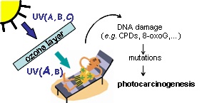 Mutagenesis