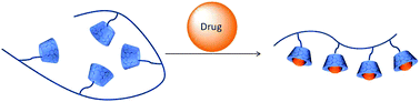 Graphical abstract: Cyclodextrin functionalized polymers as drug delivery systems