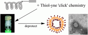 Graphical abstract: Thiol–yne ‘click’ chemistry as a route to functional lipid mimetics