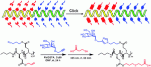 Graphical abstract: Multi-functionalization of helical block copoly(α-peptide)s by orthogonal chemistry