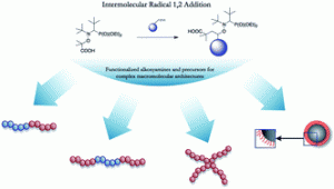 Graphical abstract: Intermolecular radical 1,2-addition of the BlocBuilder MA alkoxyamine onto activated olefins: a versatile tool for the synthesis of complex macromolecular architecture