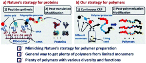 Polymer synthesis by mimicking nature’s strategy