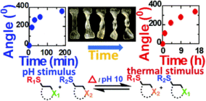 Dual stimuli responsive self-healing and malleable materials based on dynamic thiol-Michael chemistry