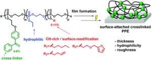 Surface-attached poly(phosphoester)-hydrogels with benzophenone groups