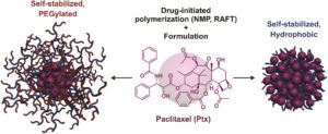 Self-stabilized, hydrophobic or PEGylated paclitaxel polymer prodrug nanoparticles for cancer therapy