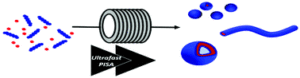 graphical abstract