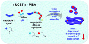 Image describing the paper