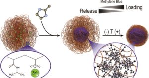 Synthesis and characterization of thermoresponsive ZIF-8@PNIPAm-co-MAA microgel composites with enhanced performance as an adsorption/release platform