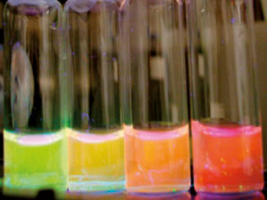 The sensor’s colour changes with different pH. From left to right: pH = 6, 7, 8 and 9