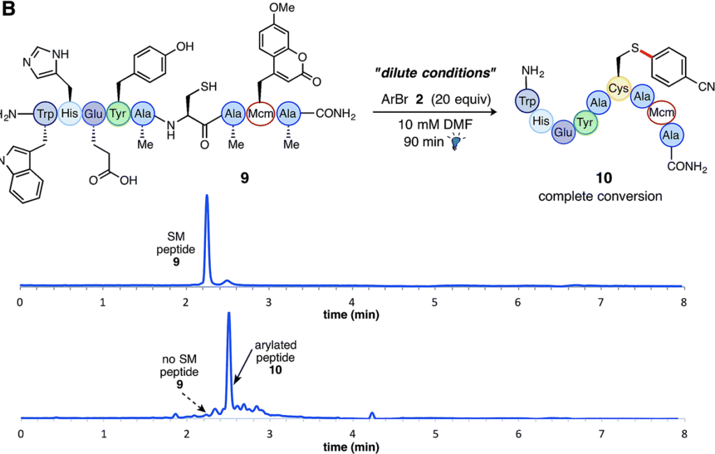 Protecting-group free functionalisation of small peptides under dilute conditions using nickel and ruthenium photoredox catalysis for cysteine functionalization