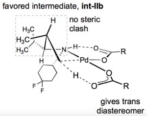 Figure 2: Mechanistic hypothesis illustrating: C-H activation step, H-bond between the amine and pivalate, intramolecular base-assisted deprotonation, and preference for formation of the trans diastereomer. 