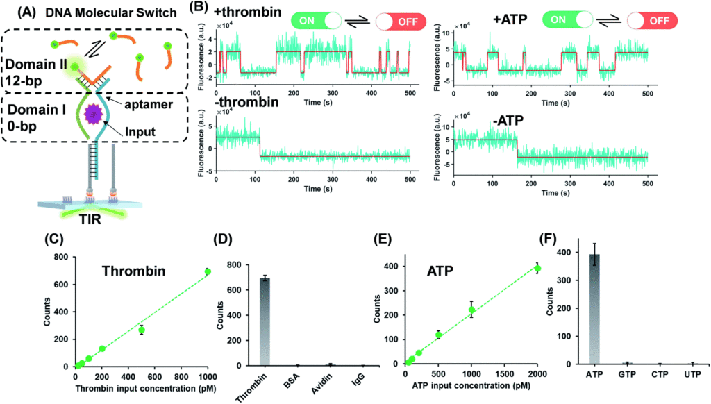Molecular Switches from DNA Chemical Science Blog