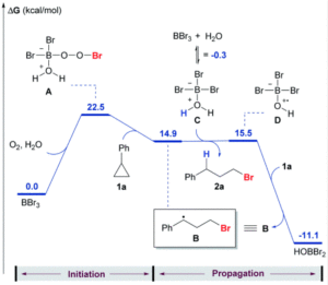 Energy profile diagram for the radical hydrobromination of cyclopropanes