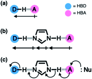 Chemical structures depicting hydrogen bonds between donor (D, coloured blue) and acceptor (A, coloured pink), with the hydrogen bonds as dashed lines between the H connected to the D, and the A acceptor atom
